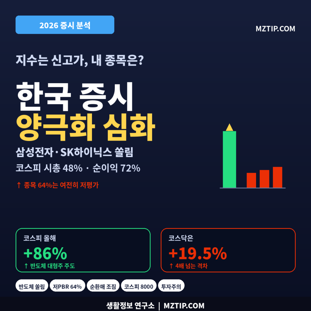 증시 양극화 코스피 86% 코스닥 19.5% 삼성전자 SK하이닉스 시총 48% 순이익 72% 반도체 쏠림 저PBR 64% 인포그래픽